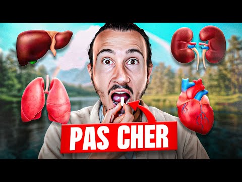 NAC (N-acétylcystéine) : Bienfaits et Utilisation (pas cher & puissant !)