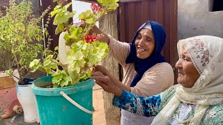 اجواء البادية/ سمحو لينا بزاف على تعطال🙏🏻حيت كينين شي حويج منقدرش نهدر عليهم دابا😔الله يصيب لجميع🤲