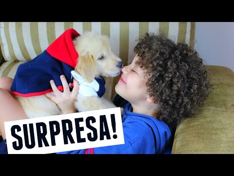 EU GANHEI UM CACHORRO?