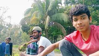 Cultivating Fruits And Vegetables In My Village Part 12