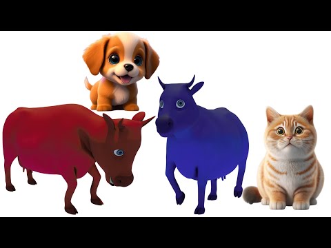 Three Letter Words | Preschool Learning | 3 letter words Kids Education Video | 3 Letter Words | KG