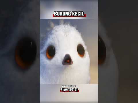 Burung Kecil