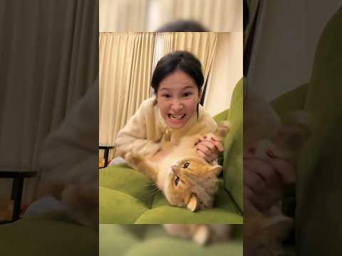 SI OREN CUMA BISA PASRAH