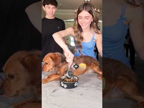 1 Subscriber = 1 dog fed 🐶