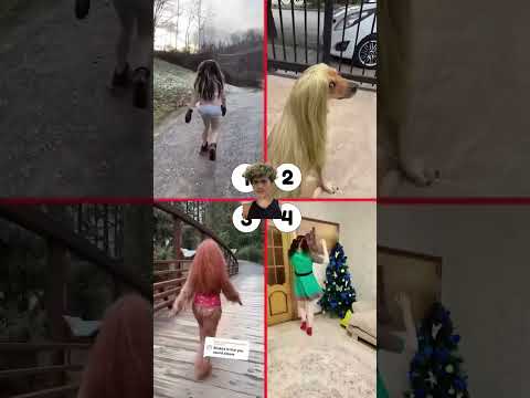 Qual é à verdadeira #dog #funny