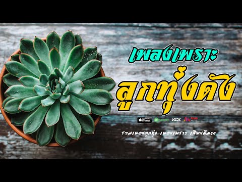 เพลงเพราะ ลูกทุ่งเพลงดัง //  รวมเพลงเก่าๆมาเล่าให้ฟังใหม่ เพราะๆ ดังๆ
