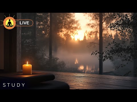 This live video has finished. To view our latest live stream, click the link below