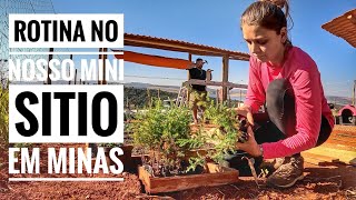 ROTINA no MINI SÍTIO feito em um TERRENO! A família AUMENTOU e as OBRAS também! T.11 Ep.30