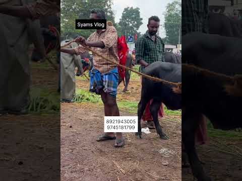 16 ചോദിച്ചു 14 നു വാങ്ങി
