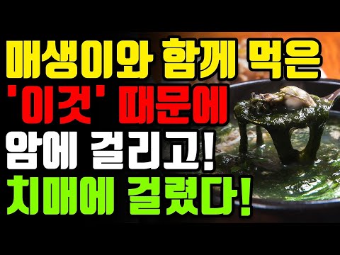 매생이와 절대로 함께 먹지마세요! 암과 치매에 걸릴 수 있습니다! 매생이 함께 먹으면 보약보다 좋은 3가지와 관절염 무릎통증 싹 사라지는 레시피 [효능 만성 염증 독소 건강 정보]