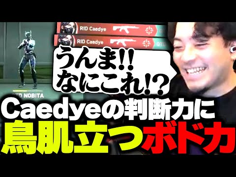 QTDvsRIDDLE戦で魅せた、冷静すぎるCaedye選手のプレイに鳥肌立つボドカ【VALORANT】