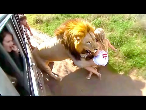 I Watched a Lion Kill My Sister — And I Couldn't Stop It...
