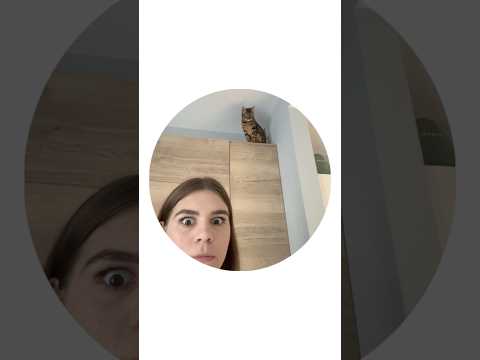 СМОТРИ НОВОЕ ВИДЕО 👆