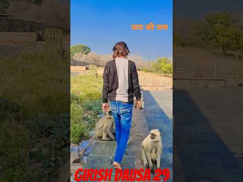बंदर के साथ किया मज़ाक़ 🤣😂 #funny #fun #funnyvideo #comedy #trendingshorts #monkey #teamfun