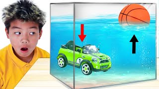 Sink or Float? Jannie & Eric’s Fun Science Lab Adventure!
