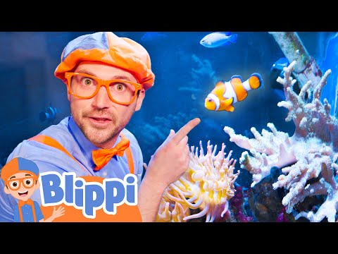 Aquarium Adventure - Let's Learn About Fish! | BEST OF BLIPPI TOYS | Educational Videos for Kids