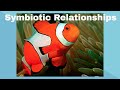 Types of Symbiotic Relationships