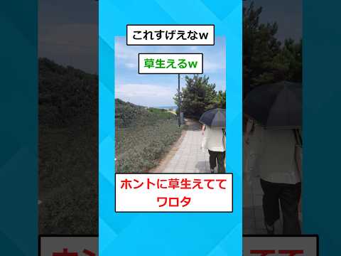 【2ch面白いスレ】この画像から手前の人を消して欲しいです！！！！！