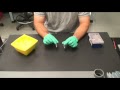 Cell Incubation and Transformation Techniques
