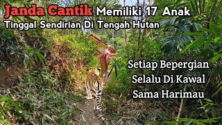 Rumah Mewah Milik Janda Cantik Memiliki 17 Anak Tinggal Sendirian Di Tengah Hutan