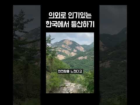 외국인들이 한국와서 의외로 제일 만족도 높은 것