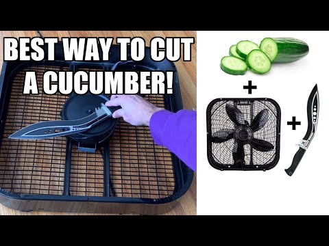 CUCUMBER CUTTING MACHINE (why...)