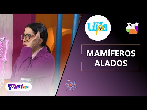 MAMÍFEROS ALADOS - SUPER LUPA