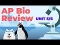 AP Biology Units 5 & 6 Review