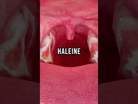 Tu veux plus d’endurance, une meilleure immunité et des muscles plus forts ? 🥤
