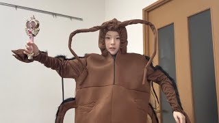 테무깡 처음 해보는 사람