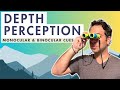 Depth Perception and Visual Cues