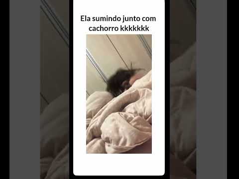 #memes #humormemes