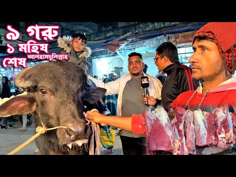 ৯ গরু ১ মহিষ শেষ একদিনে উজ্জল গোস্ত বিতানে | কালকেও পাওয়া যাবে কমদামে মহিষের মাংস #meatprice