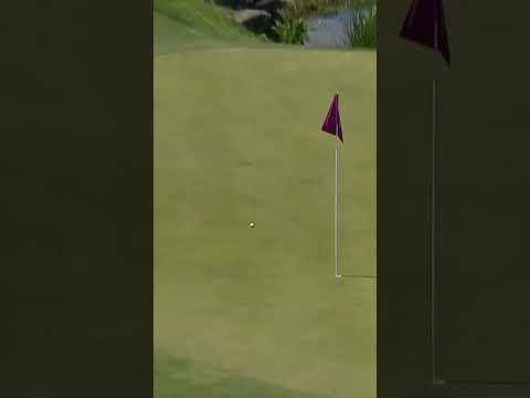 Hole-in-one FOR A PORSCHE 🚘😱