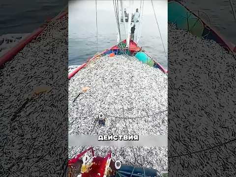 КАМНИ против рыбаков в Муранске🤔🔥🪨