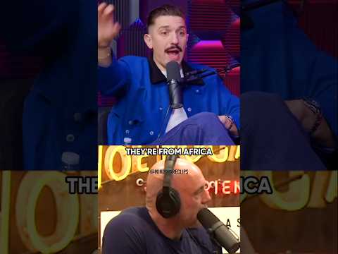 Joe Rogan Reacts as Andrew Schulz DESTROYS Woke Racist 🤣
