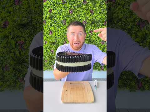 A disabled duckling helps his cat friend 🐤 0367 #DuckRescue #CuteAnimal #AnimalRescue