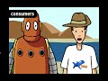 Exploring Food Chains and Their Dynamics