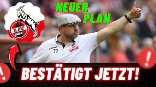 STEFFEN BAUMGART HAT EINE NEUE STRATEGIE!!🤯🤯- Neuigkeiten 1. FC Köln