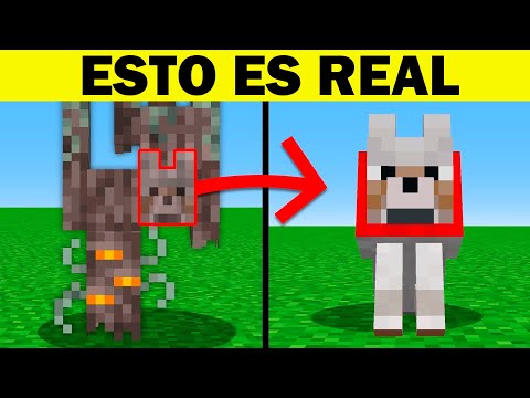 100 Cosas Que SEGURO NO SABÍAS de Minecraft #23
