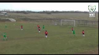Puskas award runner up Stephanie Roche bags another sublime 25-yarder
