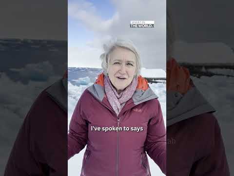 Why is Greenland in the middle of a political storm?