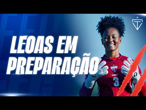 image para ilustrar o artigo