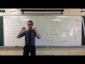 Understanding Parabolas and Their Properties