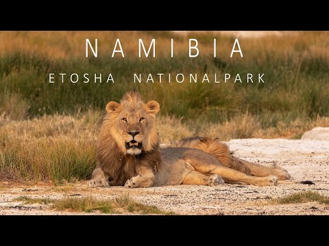 NAMIBIA 2022 | ETOSHA NATIONALPARK