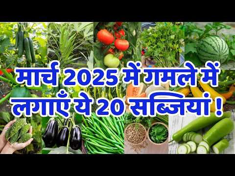 मार्च 2025 में लगाई जाने वाली सब्जियां | March me konsi sabji lagaye | March Month Vegetable To Grow