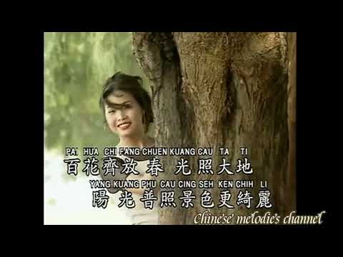 謝采妘 愛的渦流