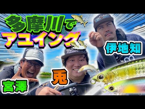 東京の街中でアユをルアーで釣る！アユイングにピスタチオ伊地知＆ロコディ兎が挑戦！