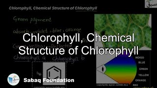 Chlorophyll, Chemical Structure of Chlorophyll