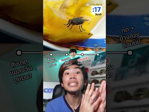 ทำไม แมลงวันต้องปัดแขน? #saysci #สาระ #ความรู้ #เรื่องเล่า